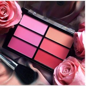 Viseart Rose/Coral Blush Palette BNIB!